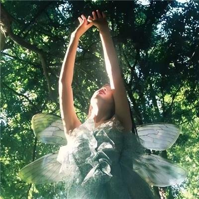 寻找非洲女王：恩津加